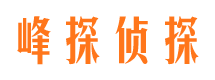 江孜市调查公司